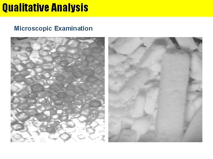 Qualitative Analysis Microscopic Examination 