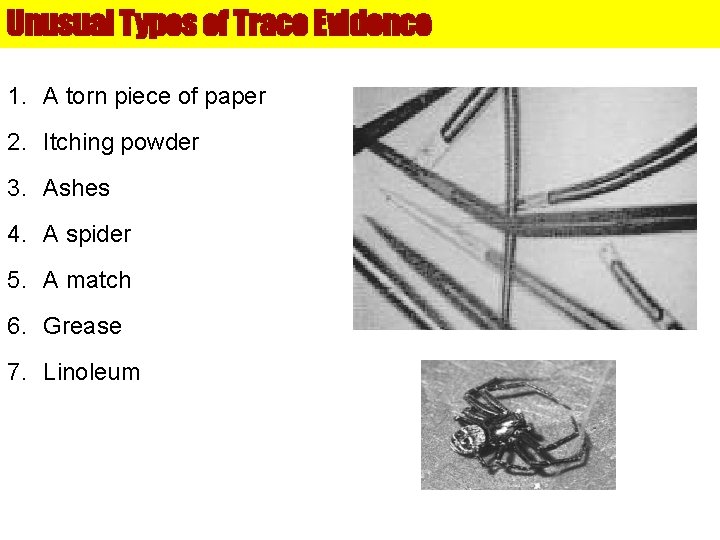 Unusual Types of Trace Evidence 1. A torn piece of paper 2. Itching powder