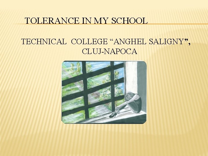 TOLERANCE IN MY SCHOOL TECHNICAL COLLEGE “ANGHEL SALIGNY”, CLUJ-NAPOCA 