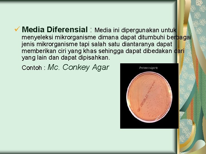 ü Media Diferensial : Media ini dipergunakan untuk menyeleksi mikrorganisme dimana dapat ditumbuhi berbagai