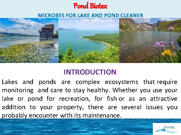 Pond Biotex MICROBES FOR LAKE AND POND CLEANER INTRODUCTION Lakes and ponds are complex