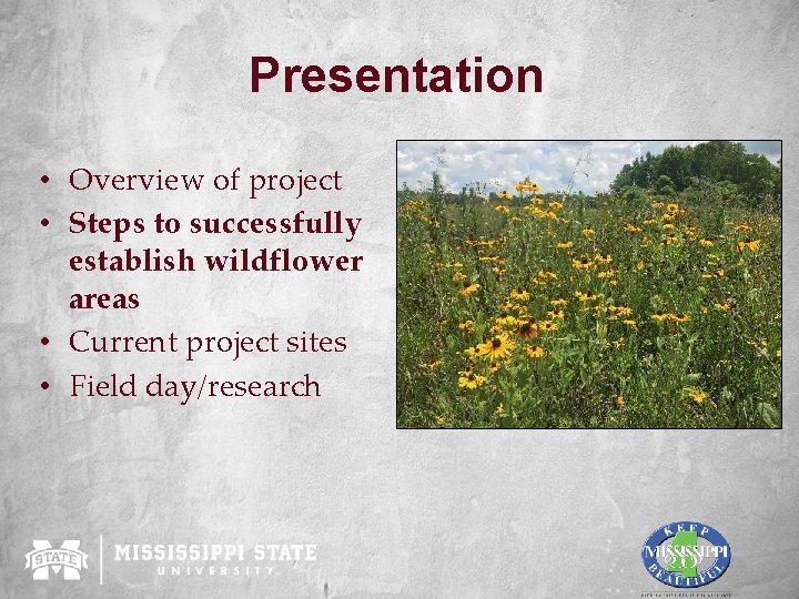 Presentation • Overview of project • Steps to successfully establish wildflower areas • Current