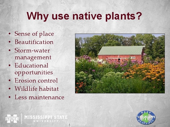 Why use native plants? • Sense of place • Beautification • Storm-water management •