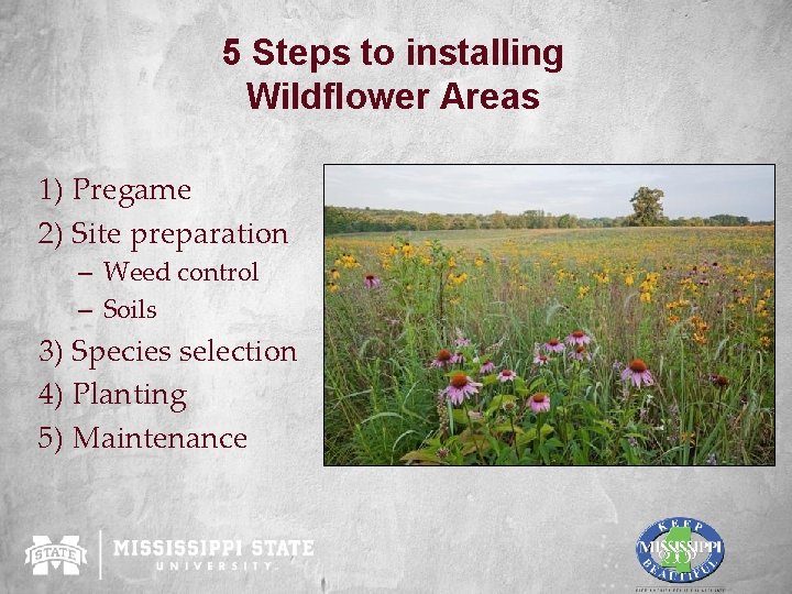 5 Steps to installing Wildflower Areas 1) Pregame 2) Site preparation – Weed control