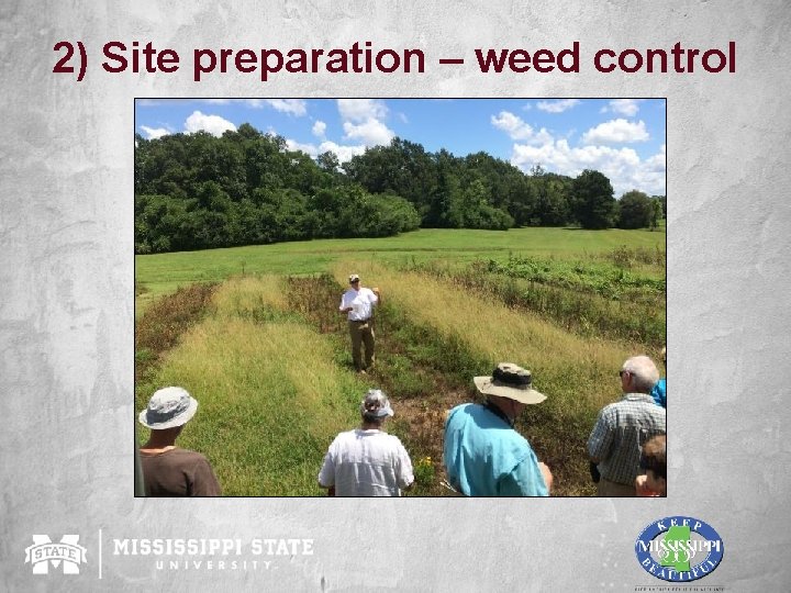 2) Site preparation – weed control 