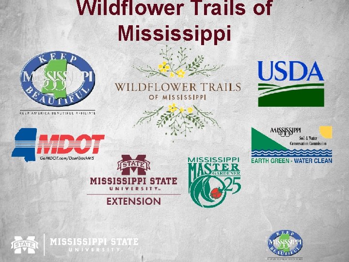 Wildflower Trails of Mississippi 