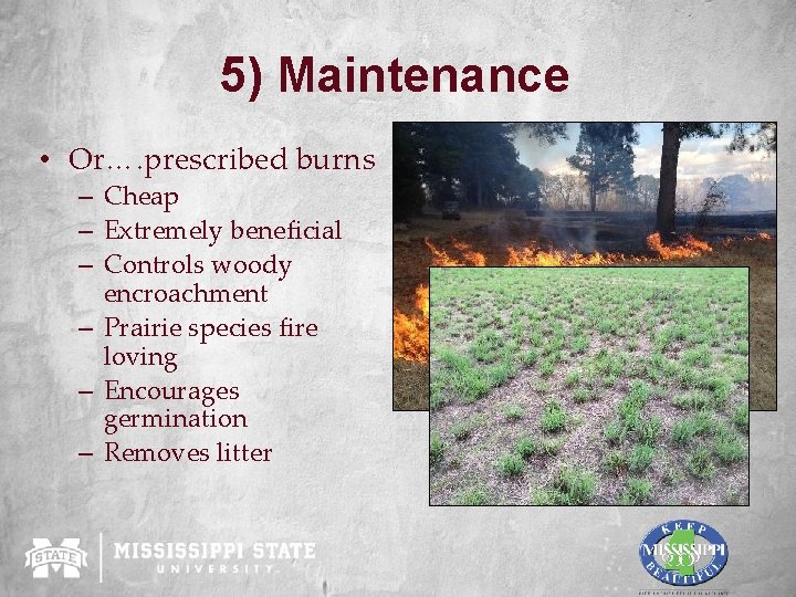 5) Maintenance • Or…. prescribed burns – Cheap – Extremely beneficial – Controls woody