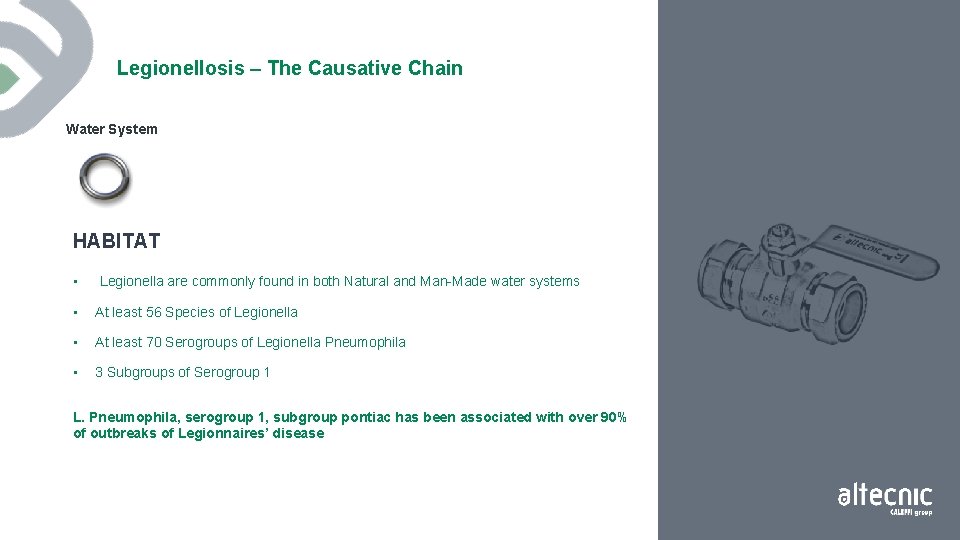 Legionellosis – The Causative Chain Water System HABITAT • Legionella are commonly found in