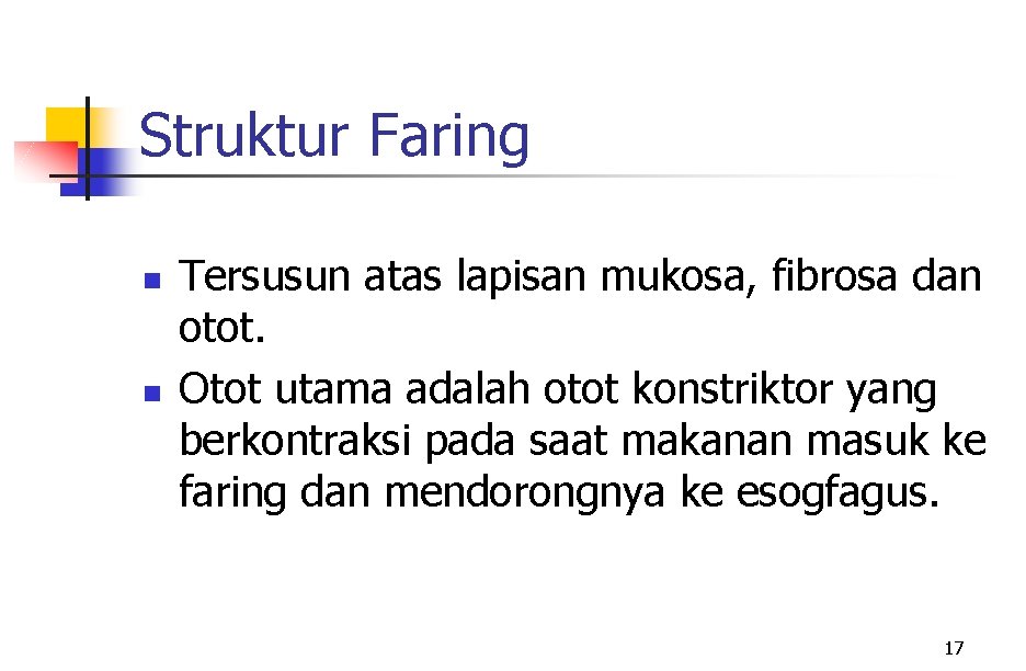 Struktur Faring n n Tersusun atas lapisan mukosa, fibrosa dan otot. Otot utama adalah