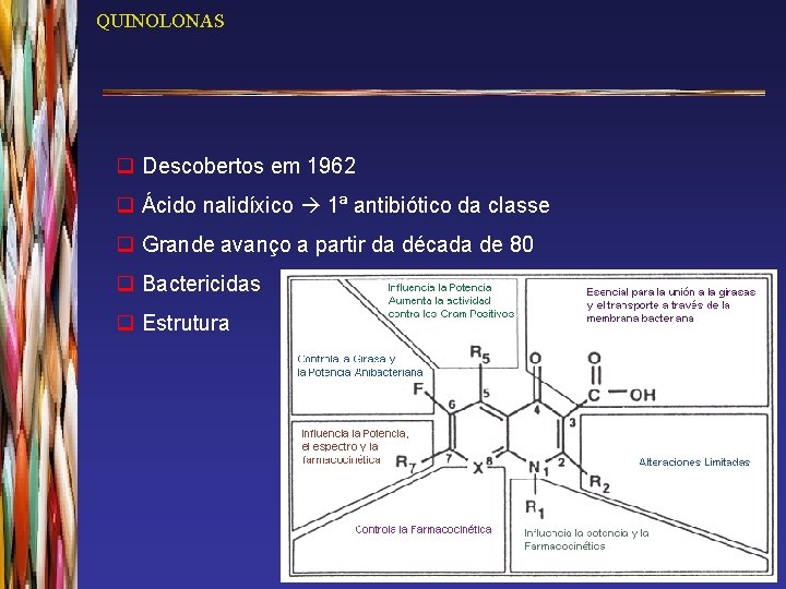 QUINOLONAS q Descobertos em 1962 q Ácido nalidíxico 1ª antibiótico da classe q Grande