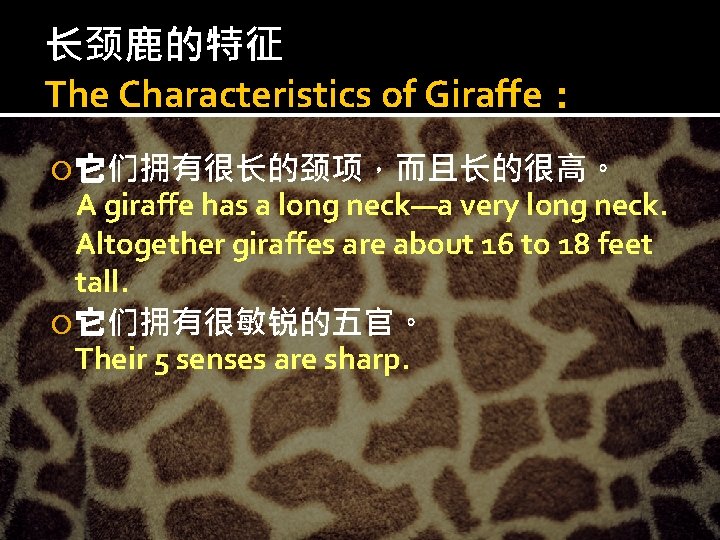 长颈鹿的特征 The Characteristics of Giraffe： 它们拥有很长的颈项，而且长的很高。 A giraffe has a long neck—a very long