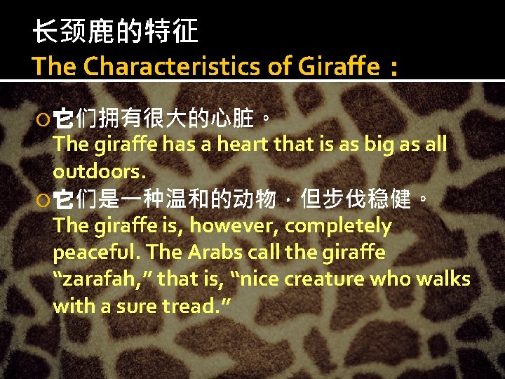 长颈鹿的特征 The Characteristics of Giraffe： 它们拥有很大的心脏。 The giraffe has a heart that is as