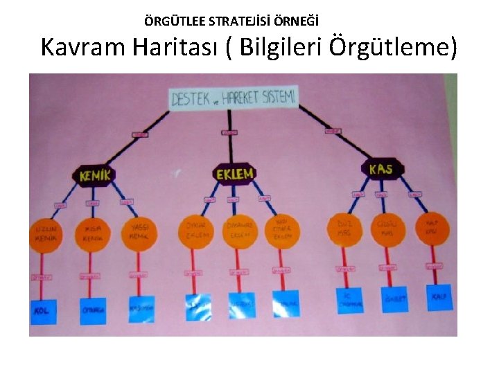 ÖRGÜTLEE STRATEJİSİ ÖRNEĞİ Kavram Haritası ( Bilgileri Örgütleme) 