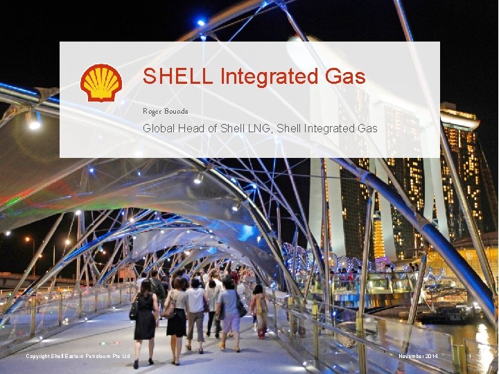 SHELL Integrated Gas Roger Bounds Global Head of Shell LNG, Shell Integrated Gas Copyright
