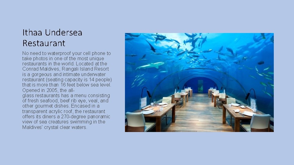 Ithaa Undersea Restaurant No need to waterproof your cell phone to take photos in