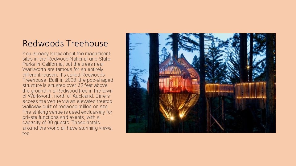 Redwoods Treehouse You already know about the magnificent sites in the Redwood National and