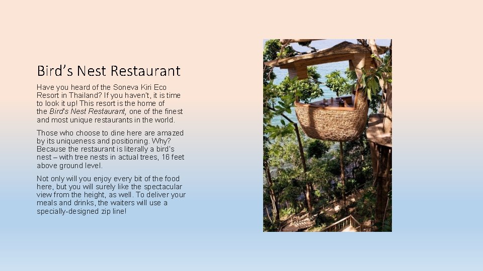 Bird’s Nest Restaurant Have you heard of the Soneva Kiri Eco Resort in Thailand?