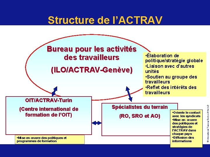 Structure de l’ACTRAV Bureau pour les activités des travailleurs (ILO/ACTRAV-Genève) • Élaboration de politique/stratégie