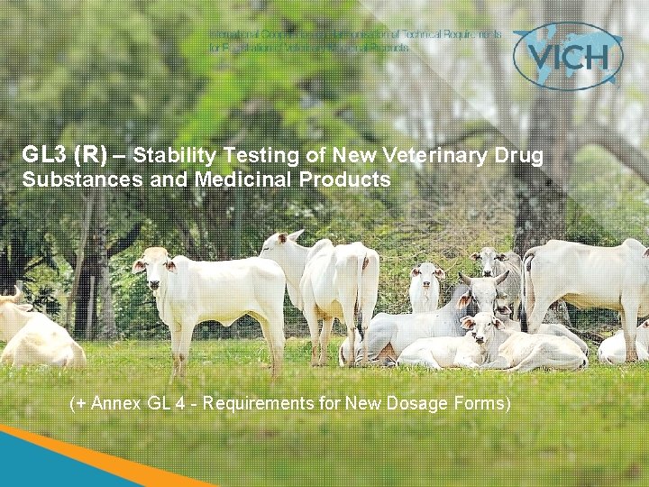 GL 3 (R) – Stability Testing of New Veterinary Drug Substances and Medicinal Products