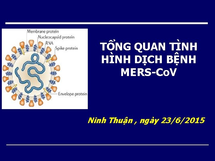 TỔNG QUAN TÌNH HÌNH DỊCH BỆNH MERS-Co. V Ninh Thuận , ngày 23/6/2015 