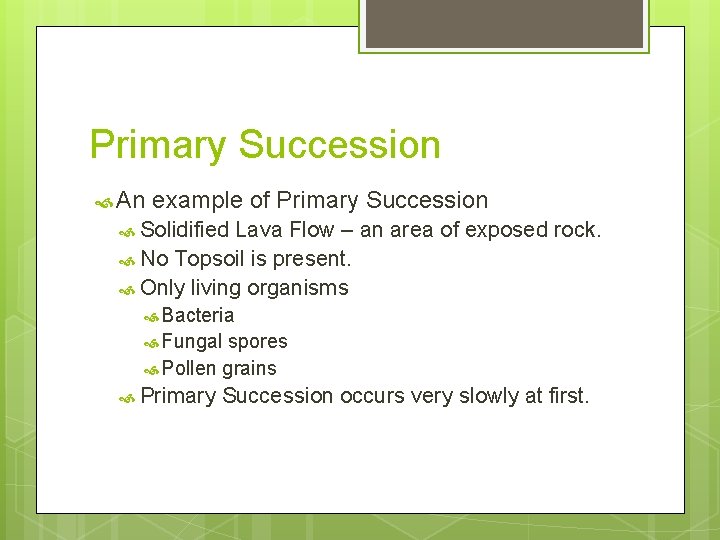 Primary Succession An example of Primary Succession Solidified Lava Flow – an area of