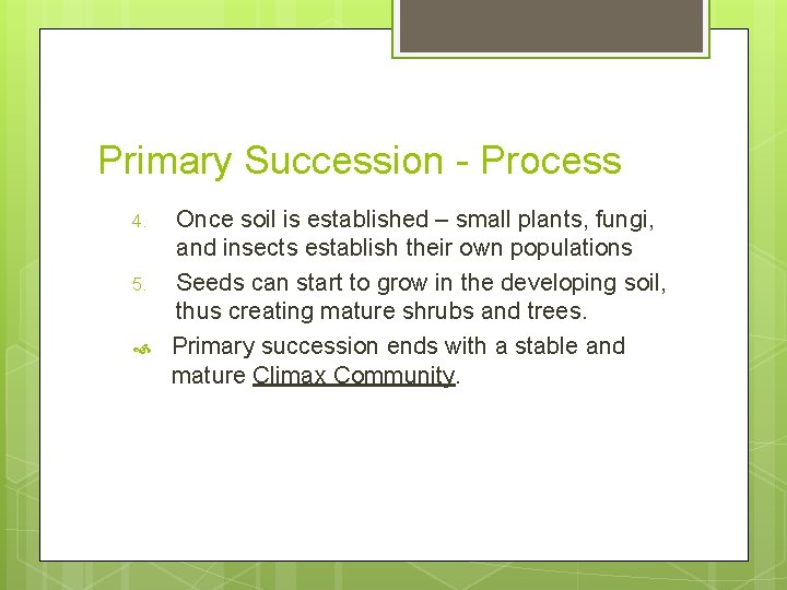 Primary Succession - Process 4. 5. Once soil is established – small plants, fungi,