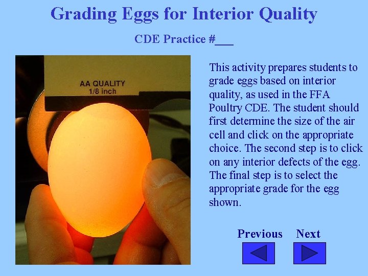 Grading Eggs for Interior Quality CDE Practice #___ This activity prepares students to grade