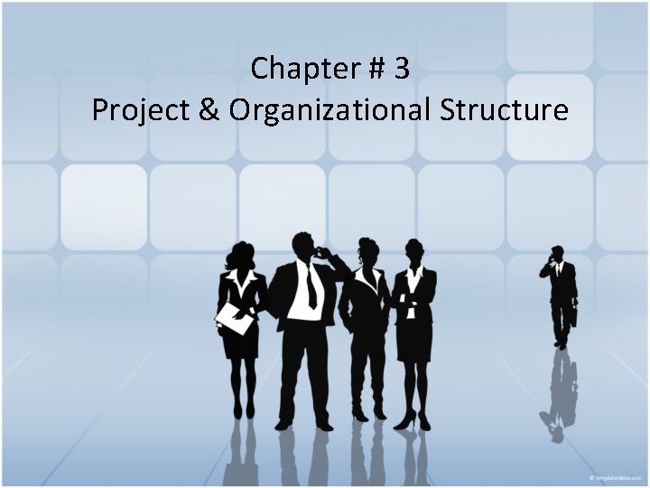 Chapter # 3 Project & Organizational Structure 