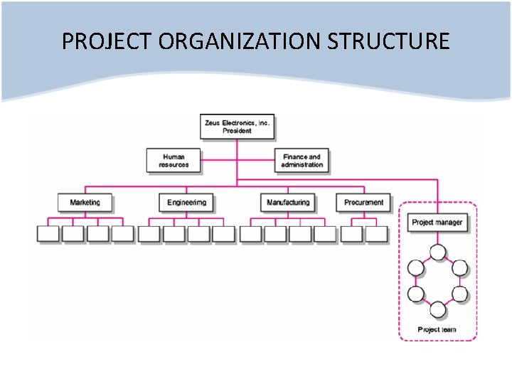 PROJECT ORGANIZATION STRUCTURE 
