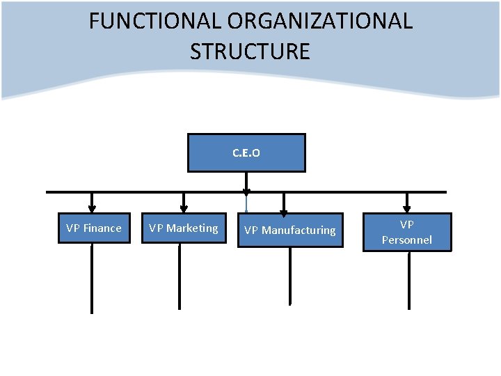 FUNCTIONAL ORGANIZATIONAL STRUCTURE C. E. O VP Finance VP Marketing VP Manufacturing VP Personnel