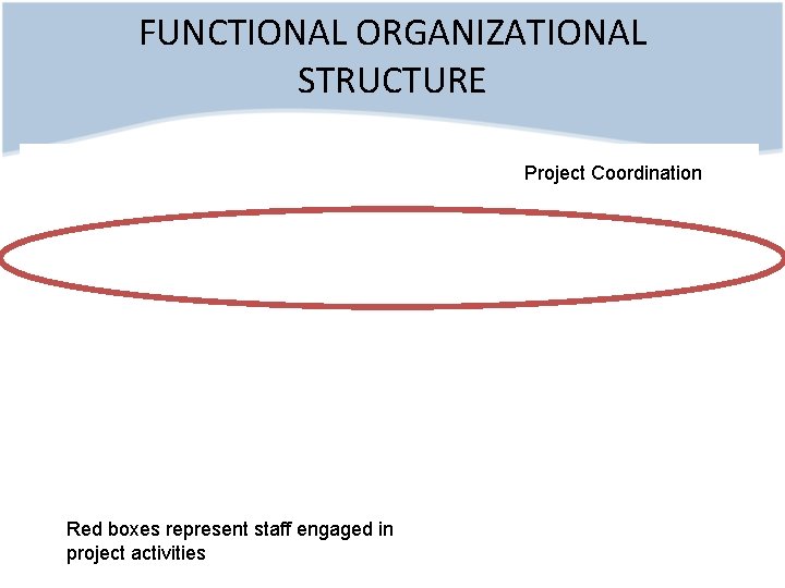 FUNCTIONAL ORGANIZATIONAL STRUCTURE Project Coordination Red boxes represent staff engaged in project activities 