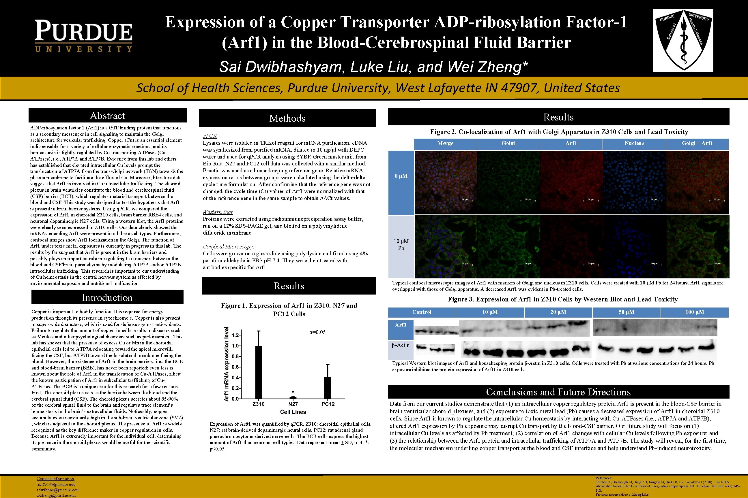 Dan Cholger, Xue Fu, and Wei Zheng* Expression of a Copper Transporter ADP-ribosylation Factor-1