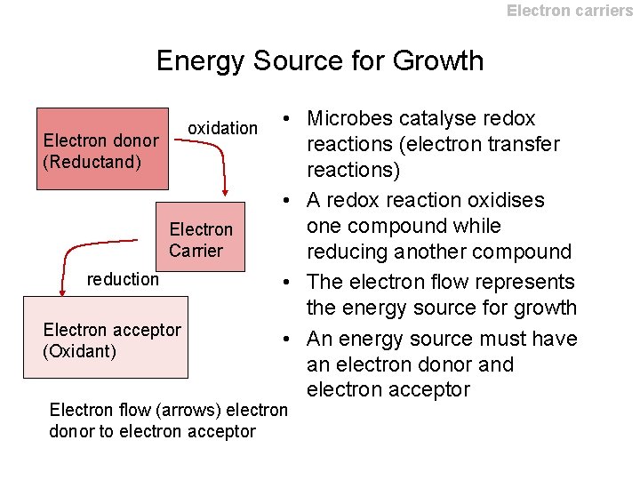 Electron carriers Energy Source for Growth oxidation Electron donor (Reductand) Electron Carrier reduction Electron Electron carriers Energy Source for Growth oxidation Electron donor (Reductand) Electron Carrier reduction Electron