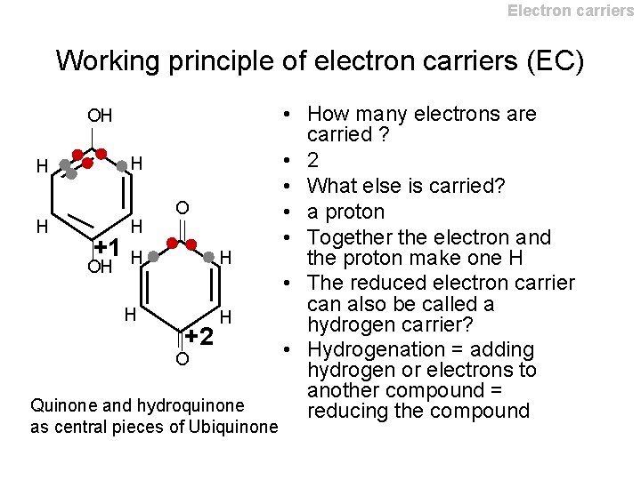Electron carriers Working principle of electron carriers (EC) OH H +1 H O OH Electron carriers Working principle of electron carriers (EC) OH H +1 H O OH