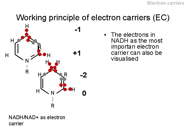 Electron carriers Working principle of electron carriers (EC) H -1 • The electrons in Electron carriers Working principle of electron carriers (EC) H -1 • The electrons in