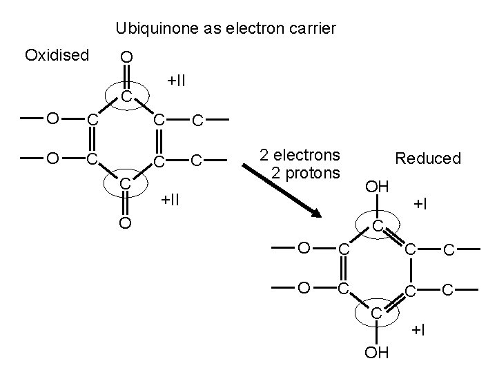 Ubiquinone as electron carrier Oxidised O +II C O C C C C 2 Ubiquinone as electron carrier Oxidised O +II C O C C C C 2