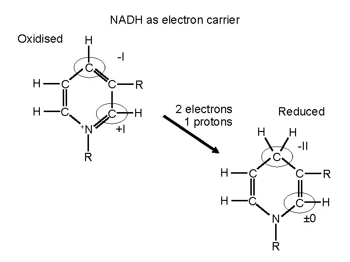 NADH as electron carrier Oxidised H -I C H C H C +I +N NADH as electron carrier Oxidised H -I C H C H C +I +N