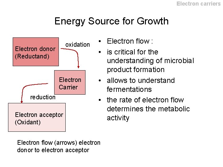 Electron carriers Energy Source for Growth oxidation Electron donor (Reductand) Electron Carrier reduction Electron Electron carriers Energy Source for Growth oxidation Electron donor (Reductand) Electron Carrier reduction Electron
