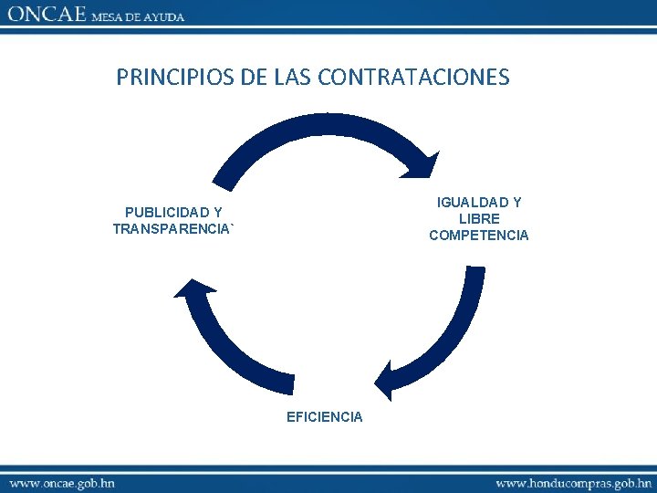 PRINCIPIOS DE LAS CONTRATACIONES IGUALDAD Y LIBRE COMPETENCIA PUBLICIDAD Y TRANSPARENCIA` EFICIENCIA 