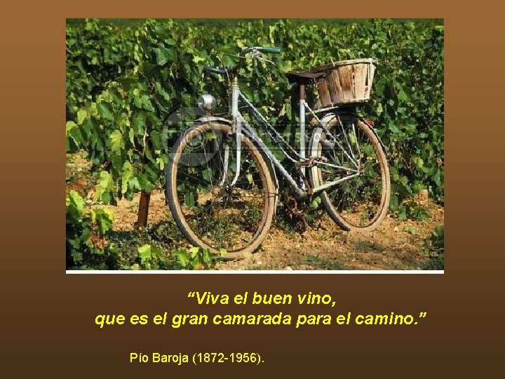 “Viva el buen vino, que es el gran camarada para el camino. ” Pío