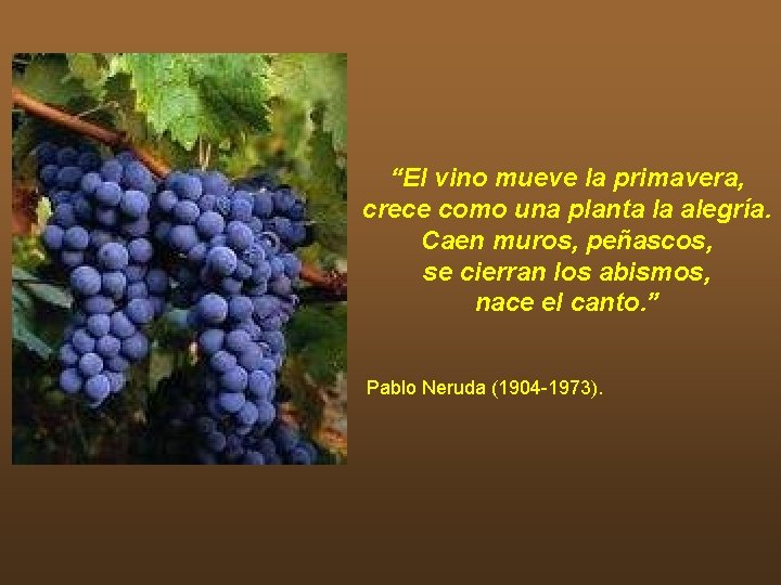 “El vino mueve la primavera, crece como una planta la alegría. Caen muros, peñascos,