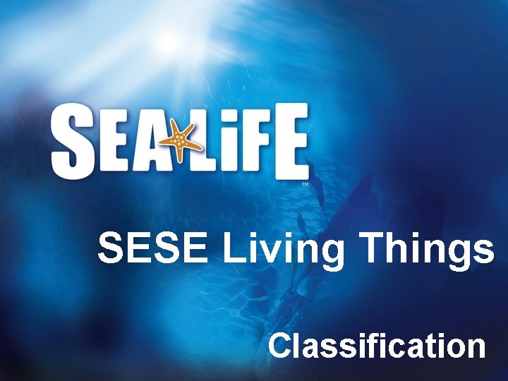 SESE Living Things Classification 