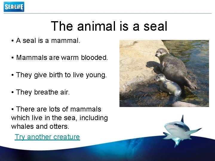 The animal is a seal • A seal is a mammal. • Mammals are