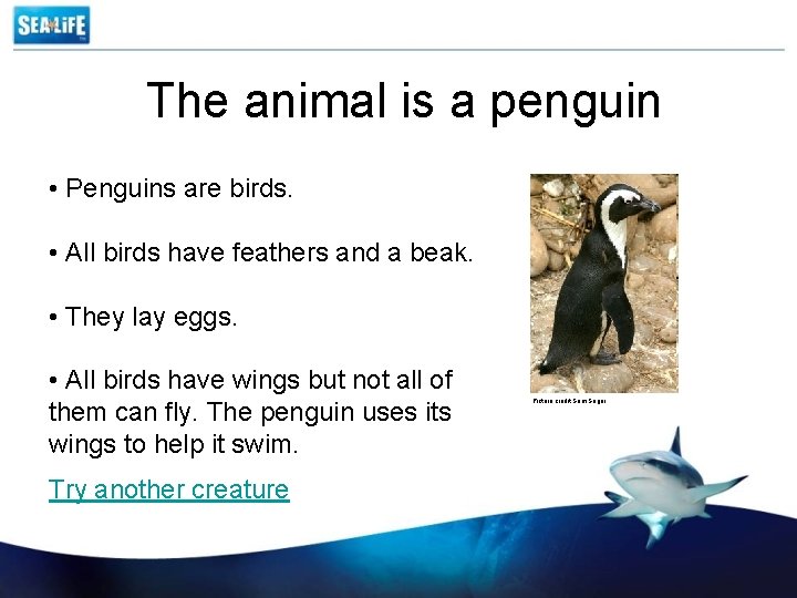 The animal is a penguin • Penguins are birds. • All birds have feathers