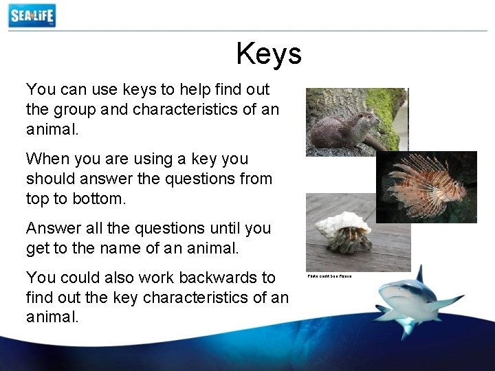 Keys You can use keys to help find out the group and characteristics of