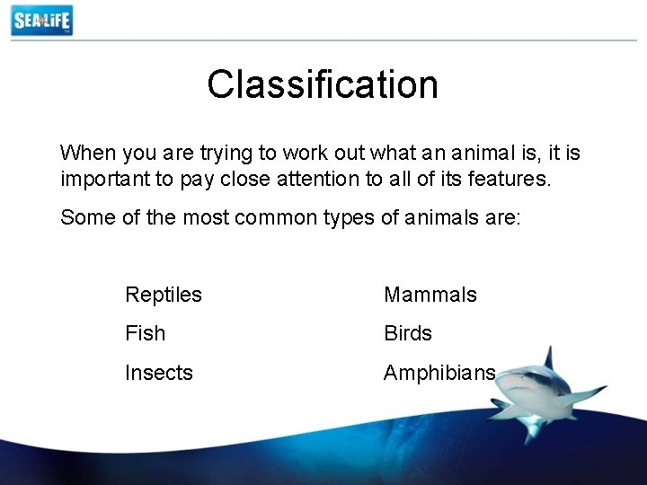 Classification When you are trying to work out what an animal is, it is