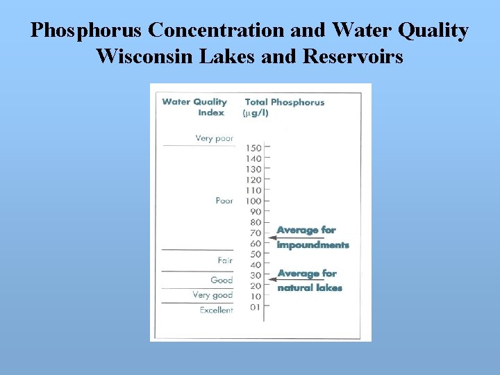 Phosphorus Concentration and Water Quality Wisconsin Lakes and Reservoirs 