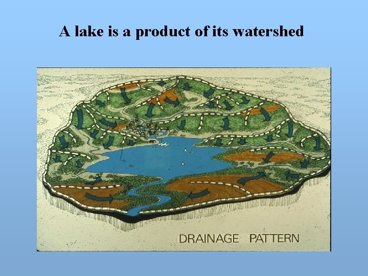 A lake is a product of its watershed 