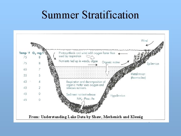 Summer Stratification From: Understanding Lake Data by Shaw, Mechenich and Klessig 