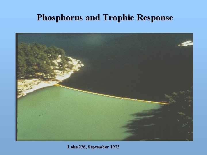 Phosphorus and Trophic Response Lake 226, September 1973 